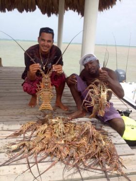 Lobsters caught for Lobster Fest, Ambergris Caye, Belize – Best Places In The World To Retire – International Living